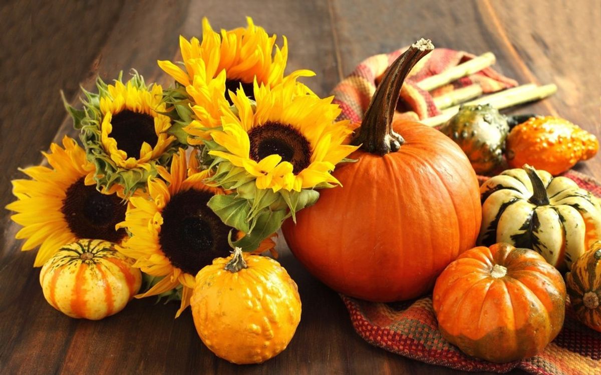 Fall Is Officially Here So Get Ready for These 21 Things