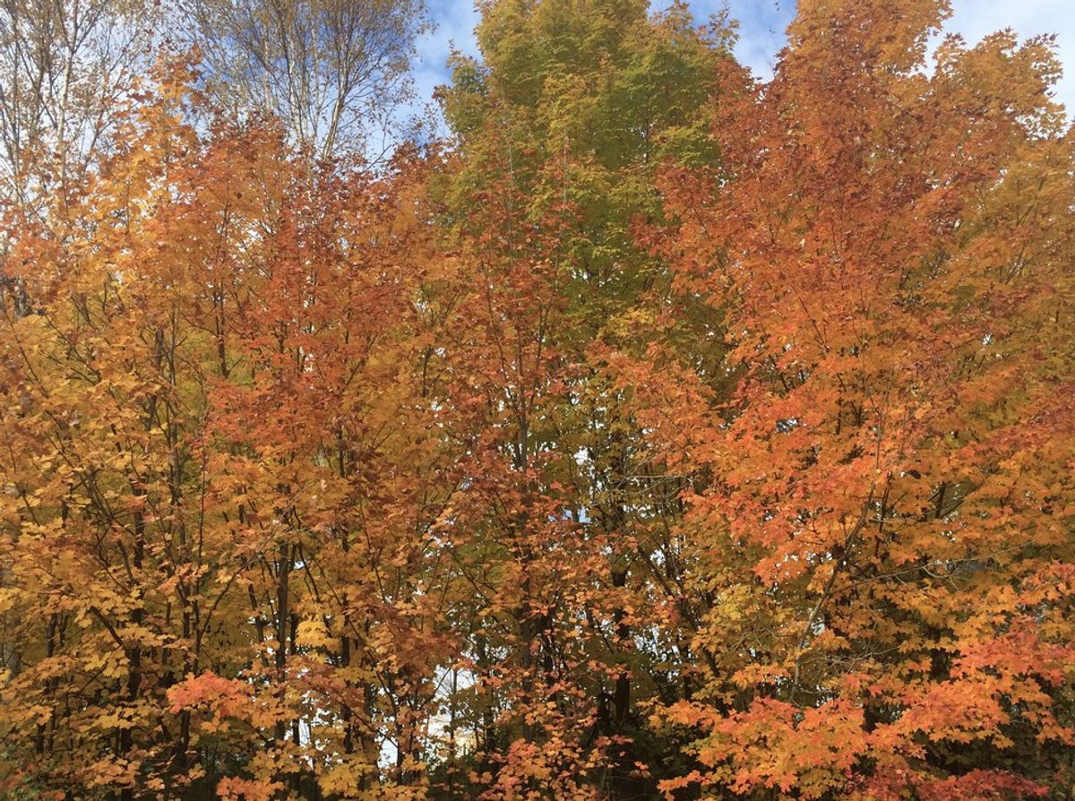 The 5 Best Things About Fall