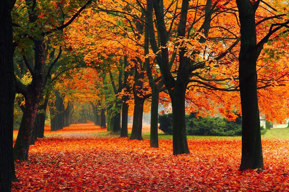 The Best Things About The Fall Season