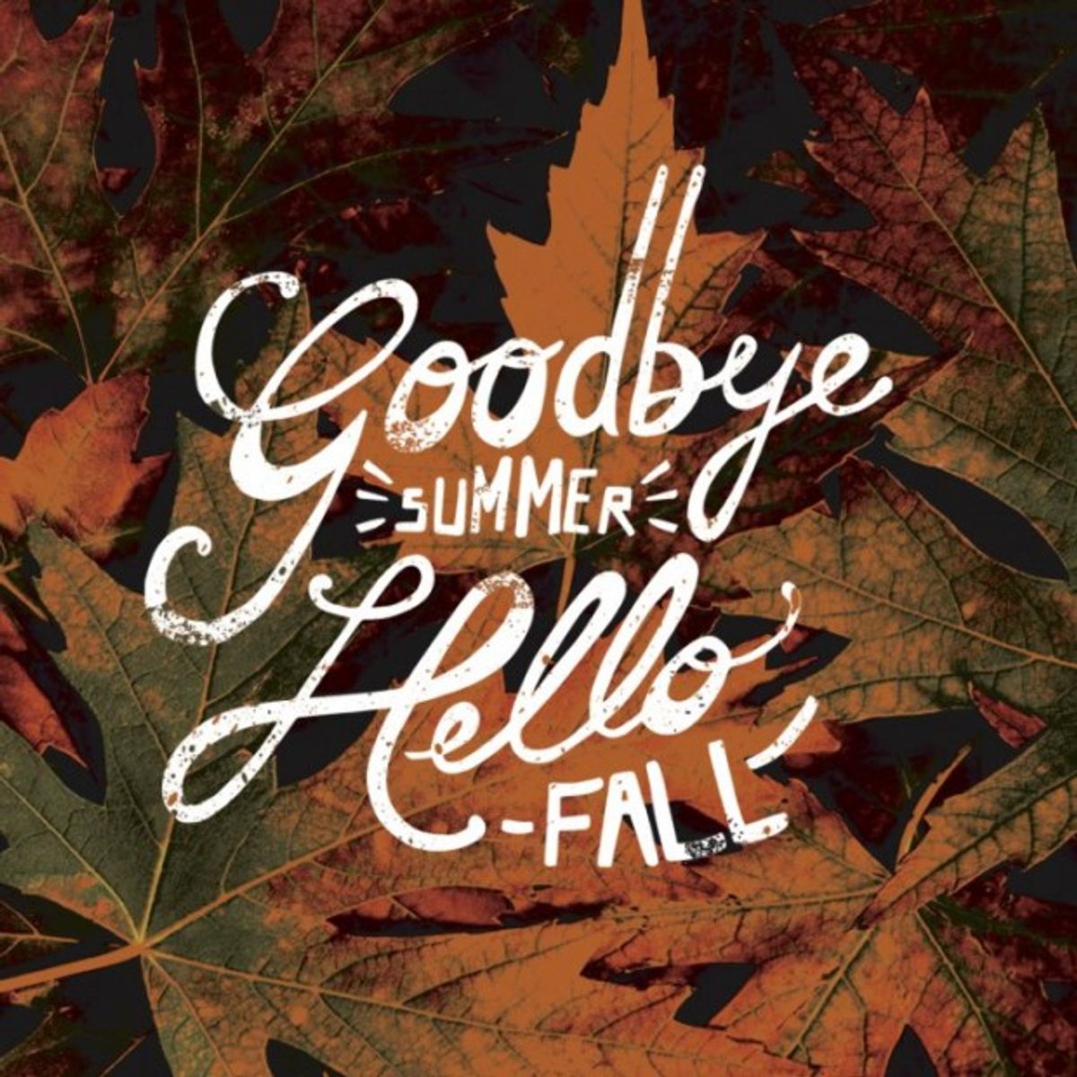 Goodbye Summer Sixteen, Hello Fall!