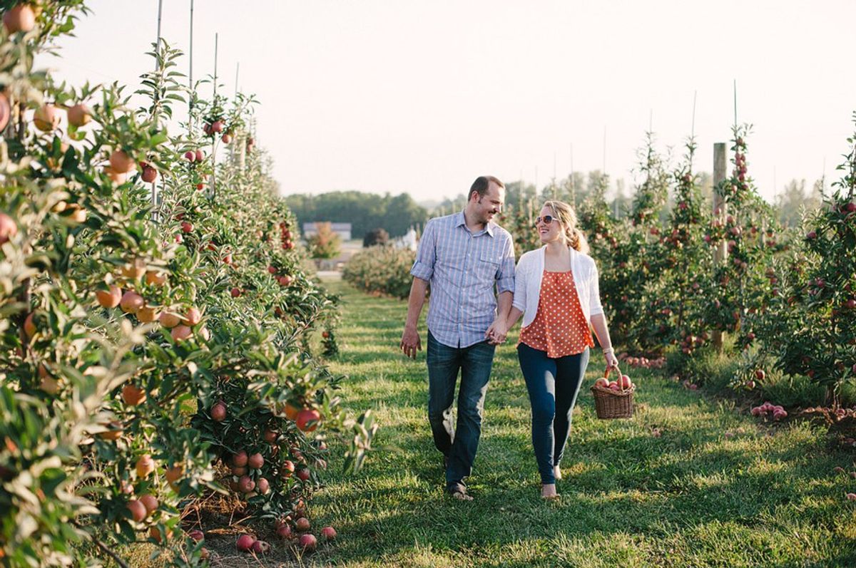 The Best Places To Go Apple Picking Near Boston