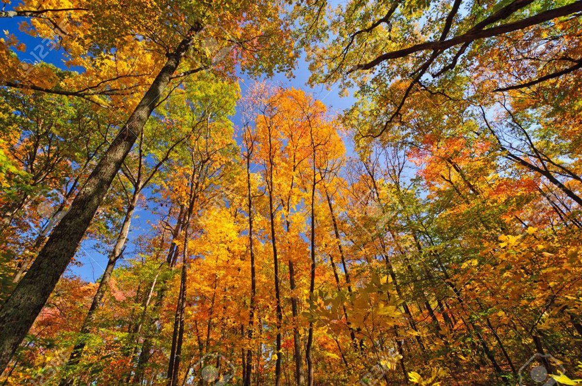 5 Things Everyone Should Experience During Fall In Indiana