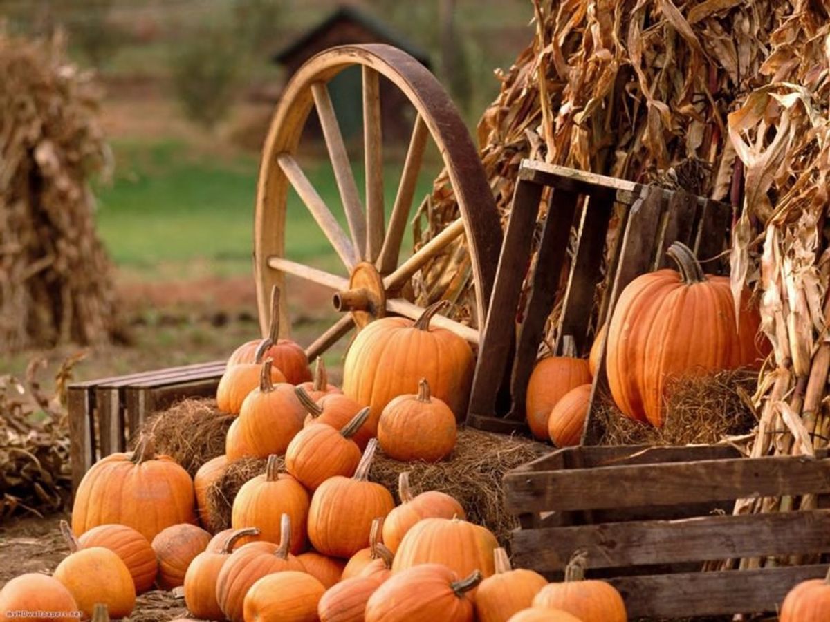 The 10 Best Things About Fall