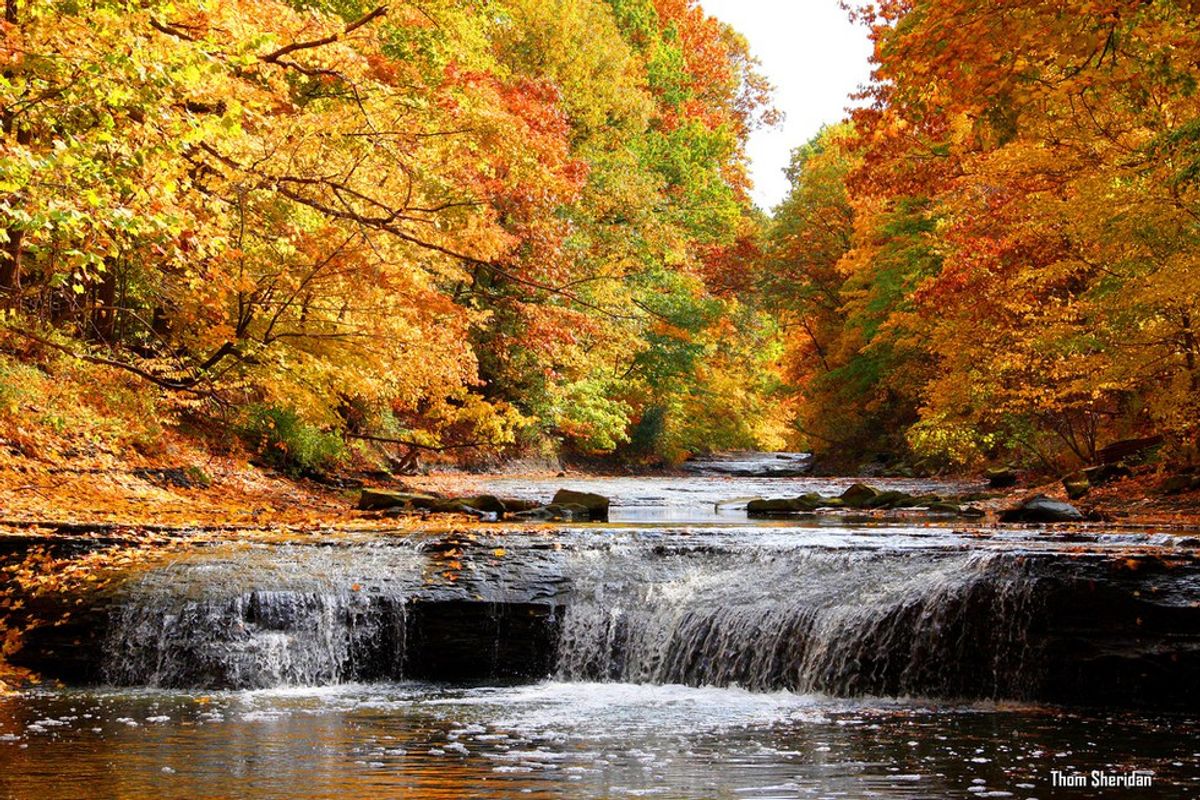 A Childhood Memory of Fall in Cleveland, Ohio