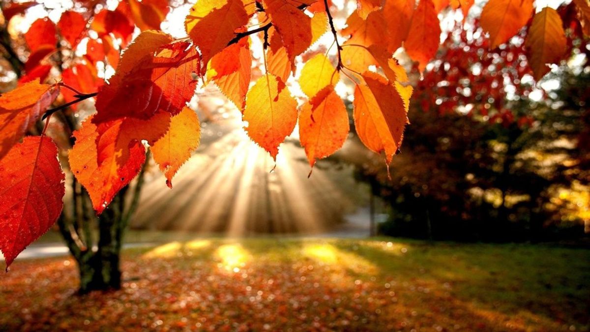 The 15 Best Things About Fall!