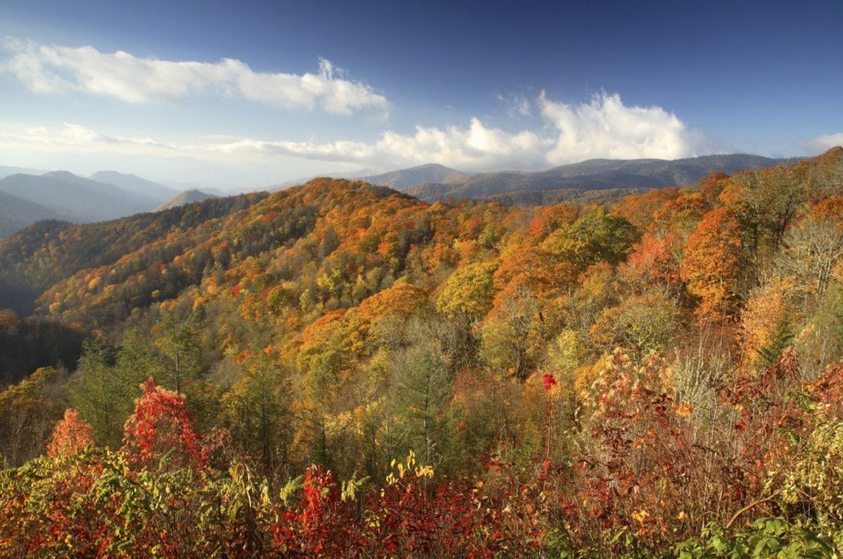 10 Things To Do During Fall In North Georgia