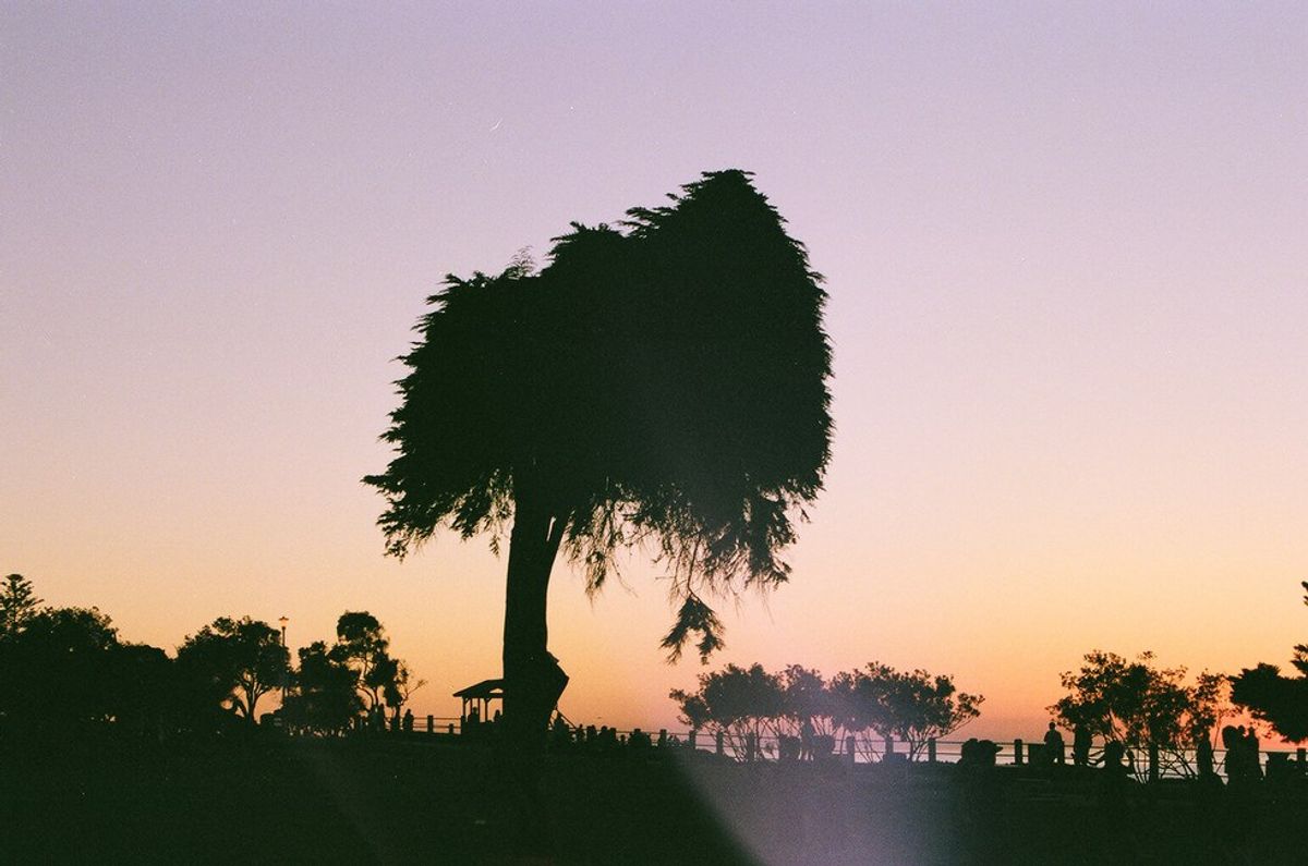 A Look At Malibu Through A 35mm Film