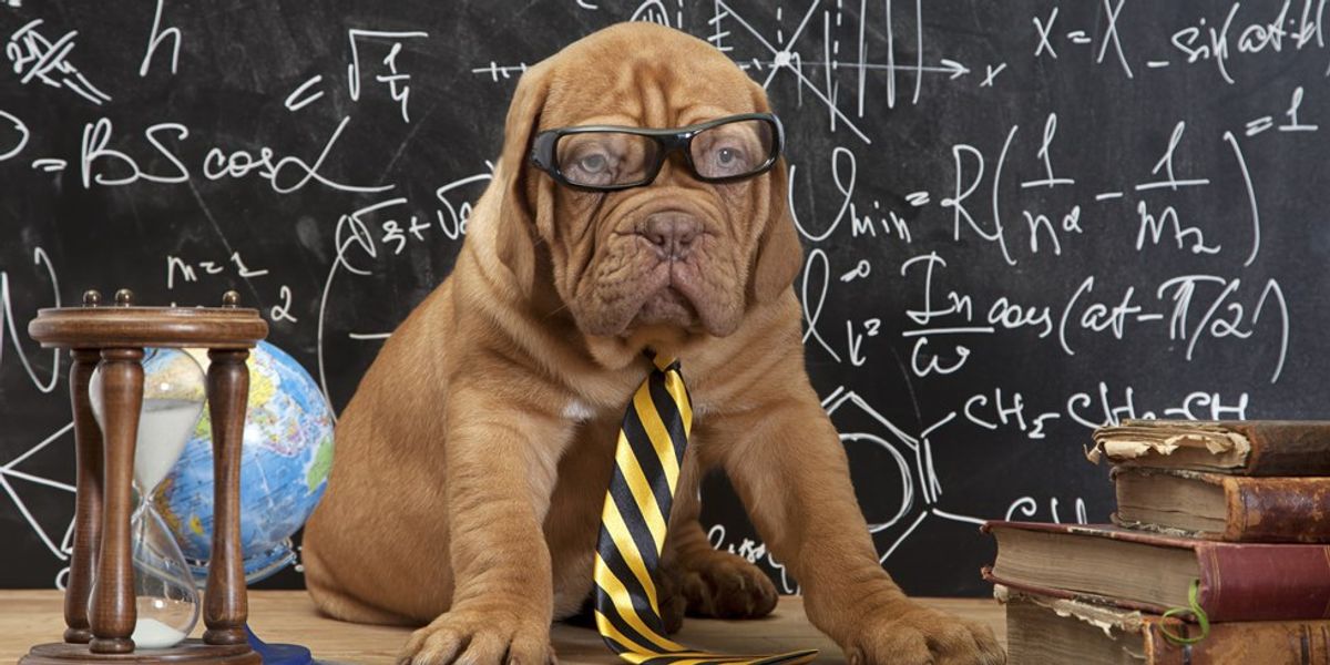 8 Times Science Majors Were So Done