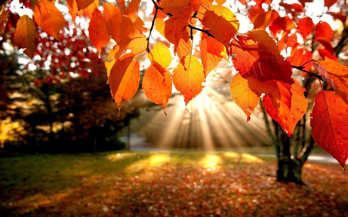 10 Reasons Fall Is My Favorite Season