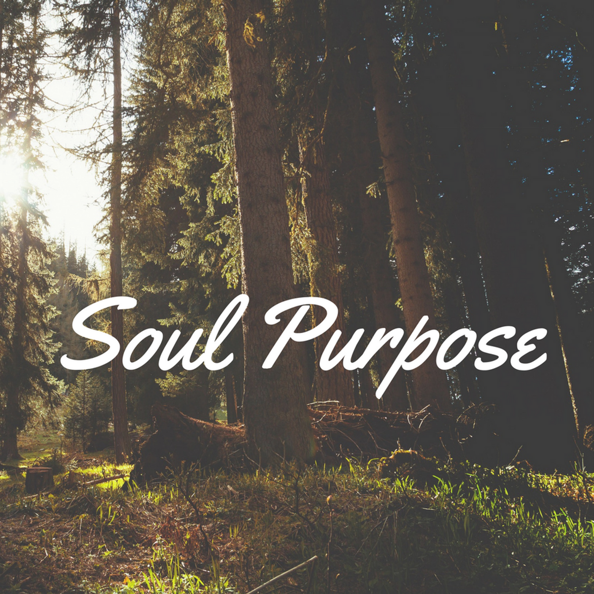 Soul Purpose