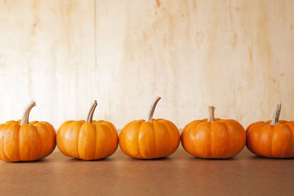 11 Pumpkin Foods Everyone Needs This Fall