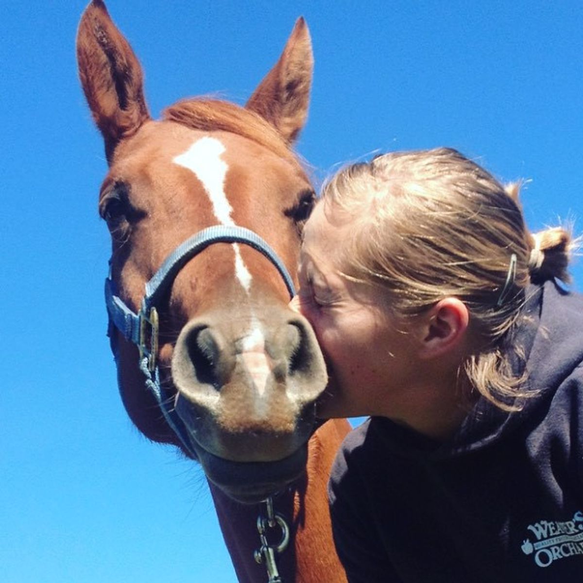 Reasons Your Horse is Your Best Friend