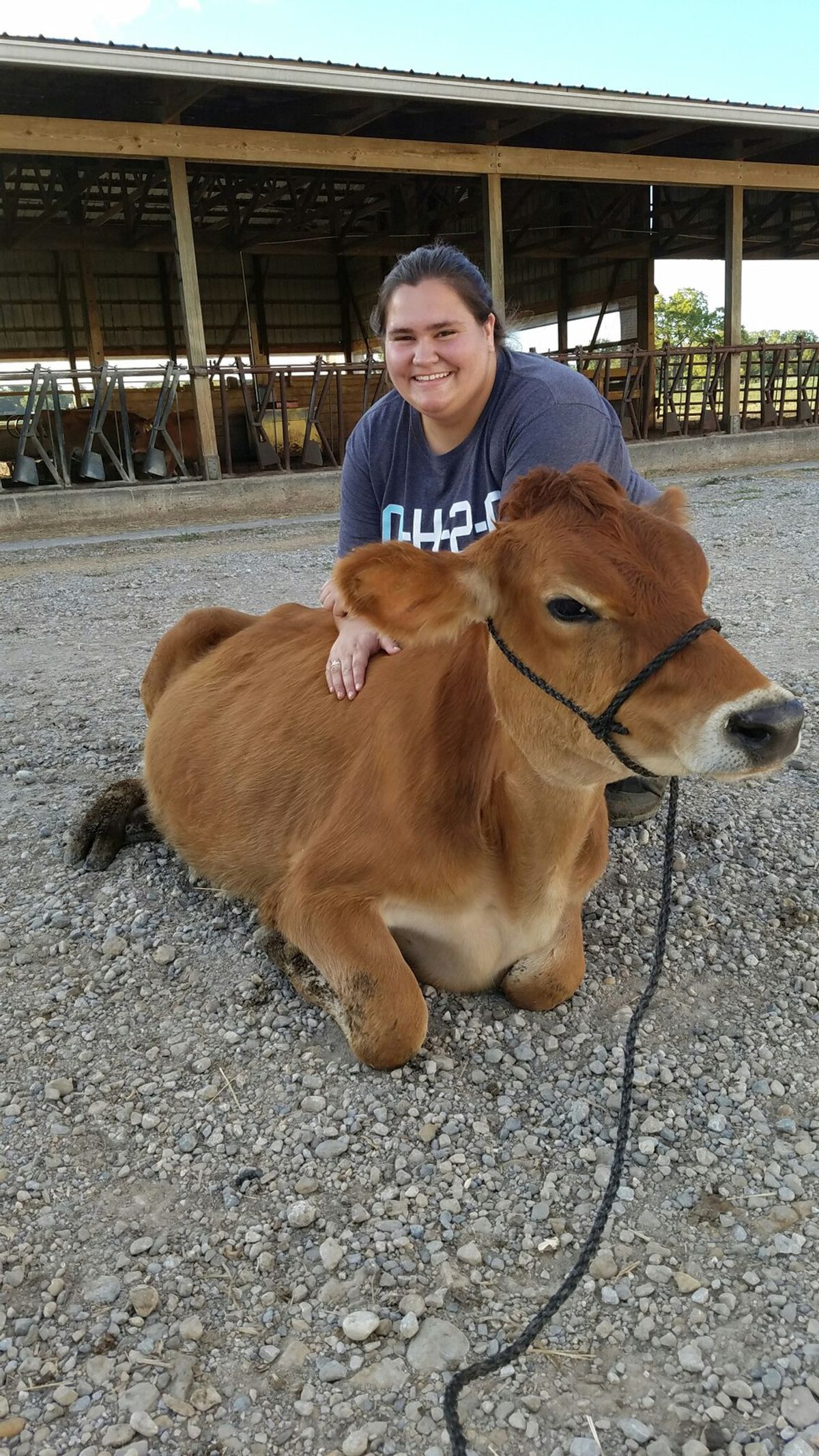 Buckeye Royal: A Showmanship Contest