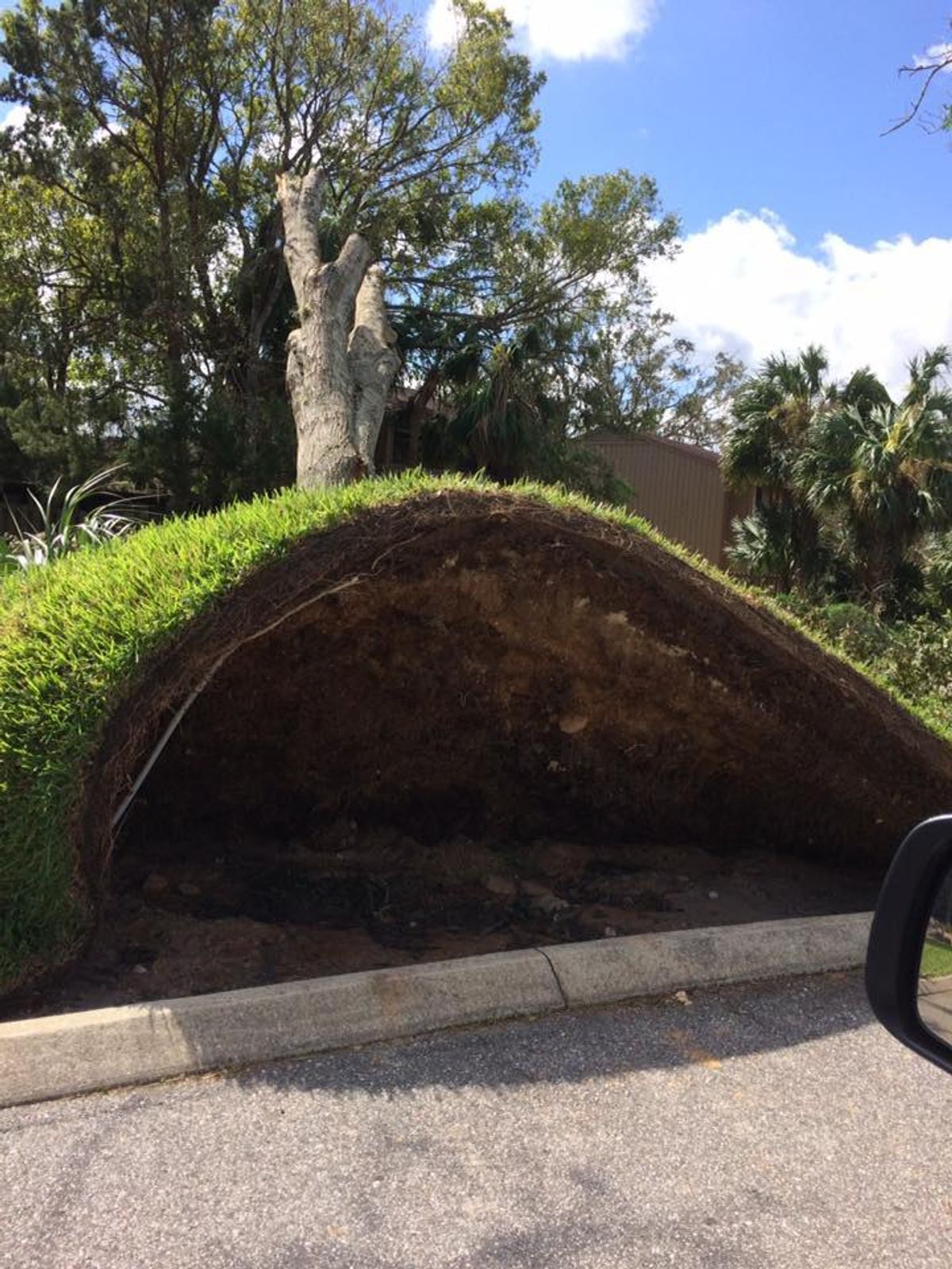 How Hurricane Matthew Made Me A Floridian