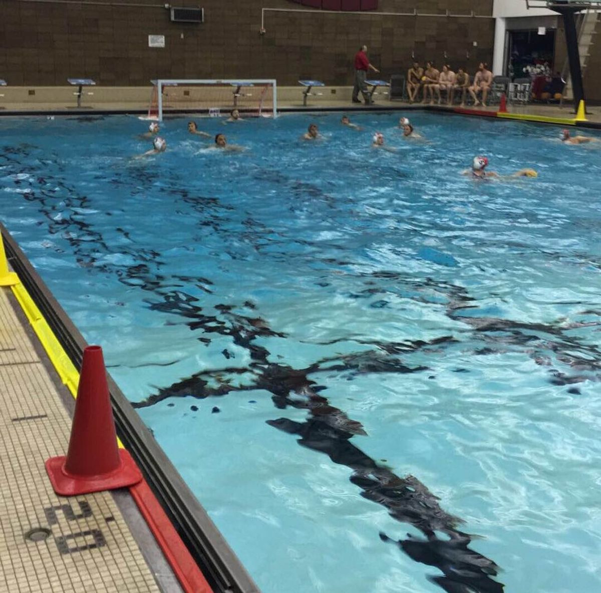 A Tournament In The Books: CU Polo Wraps Up First League Play In The ACWPL