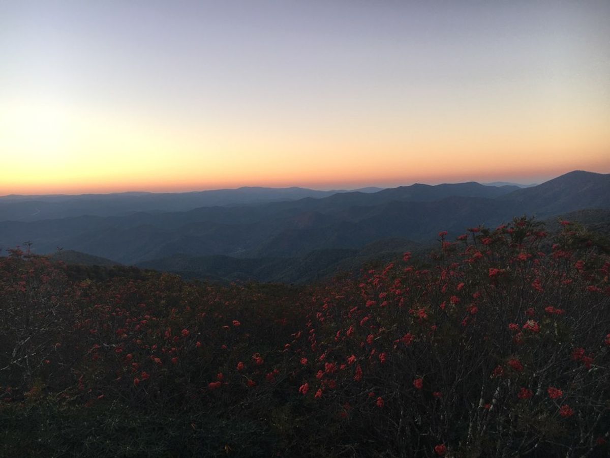 An Expression Of Love For The Appalachian Mountains