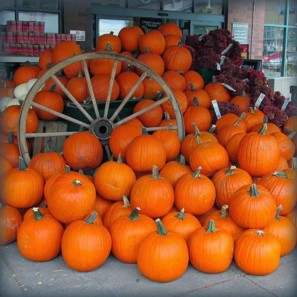 11 Jack O'Lantern's To Inspire Your Pumpkin Carving