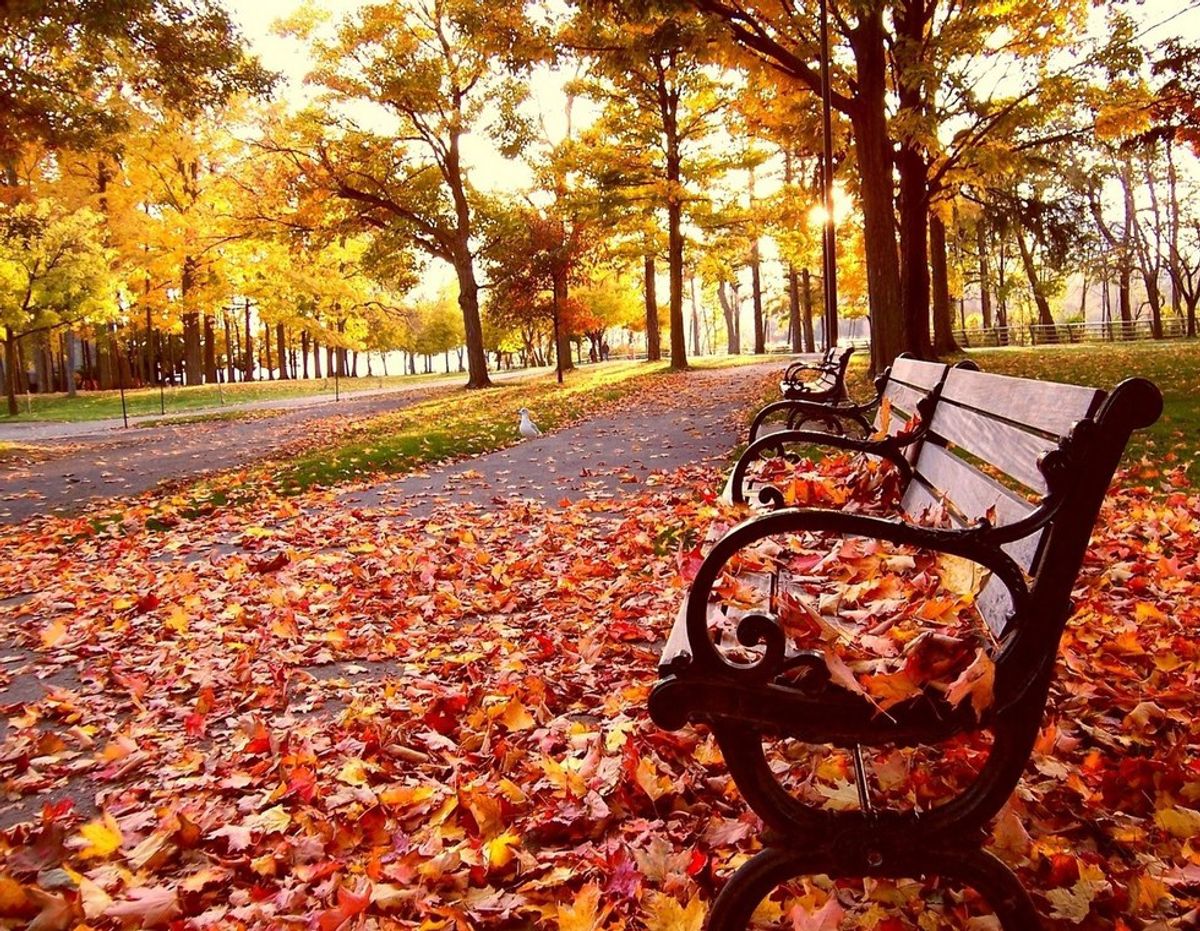 5 Reasons Why Everyone Loves Fall