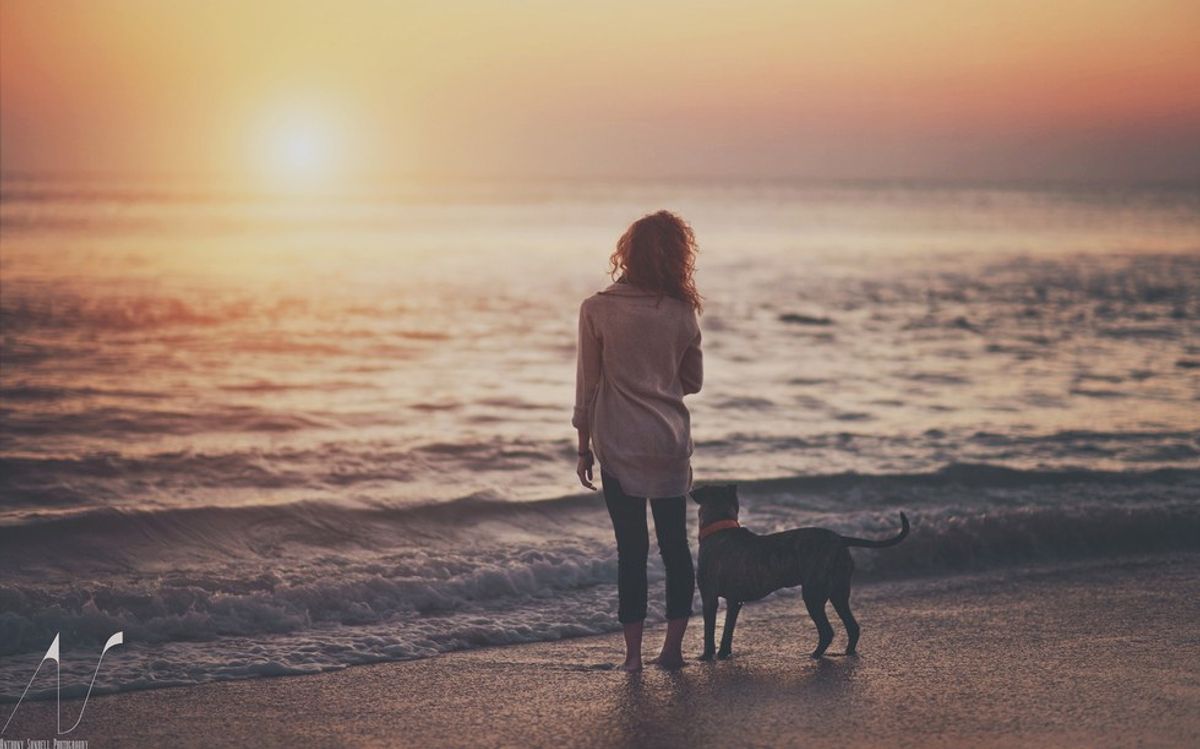 7 Ways Your Dog Is Pretty Much The Ideal Boyfriend