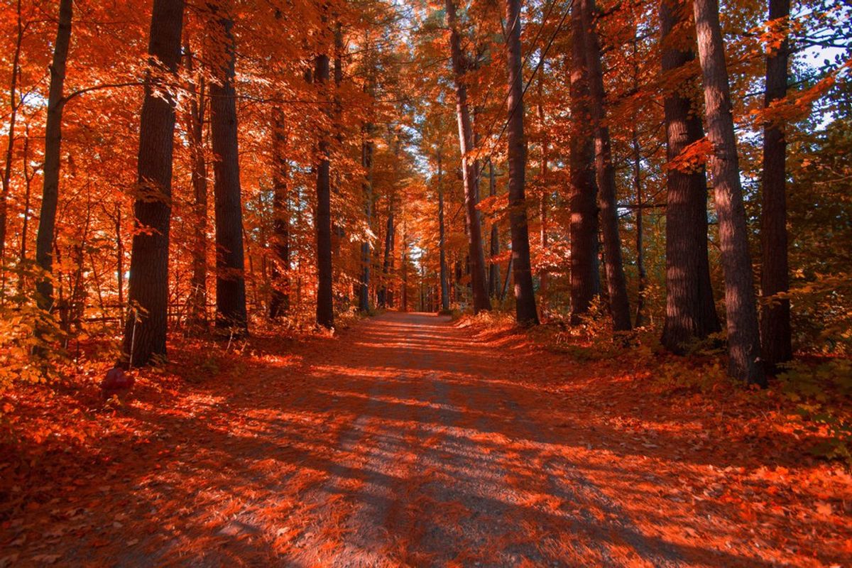 6 Reasons why Fall is the Best Season