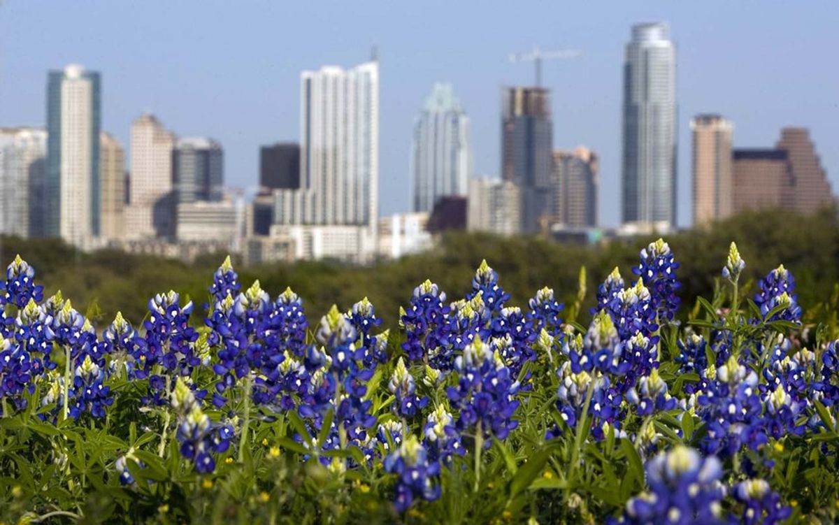 11 Things I Miss About Living In Austin, Texas