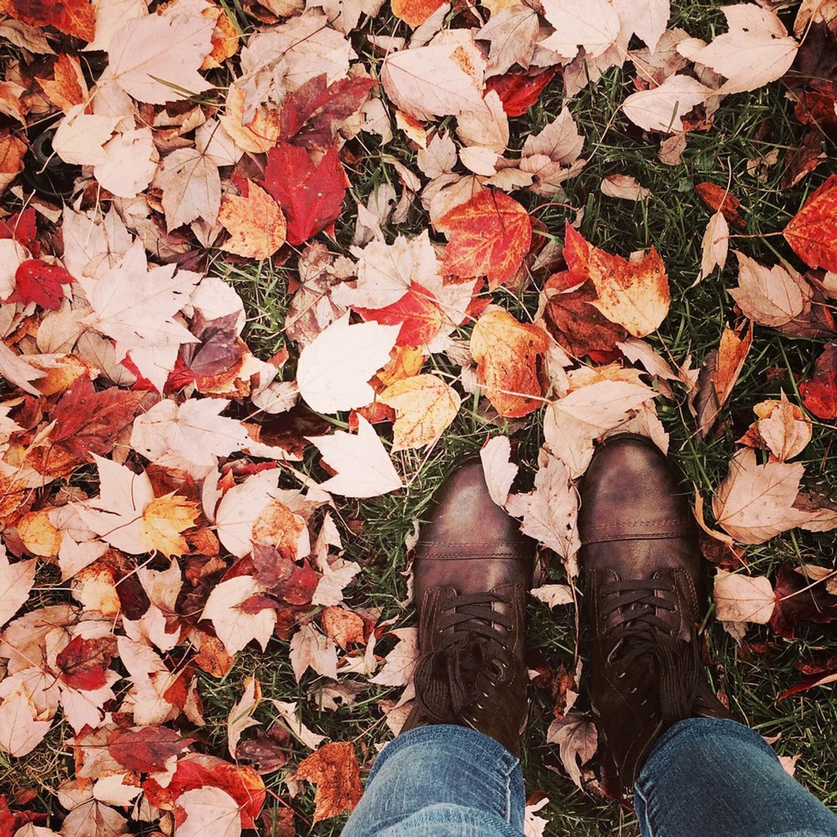 The 5 Sure Signs of Fall