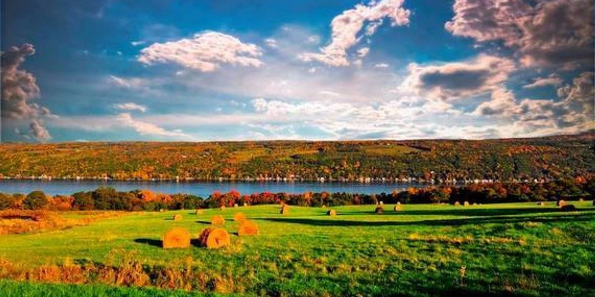 5 Perks Of Going To College In The Finger Lakes