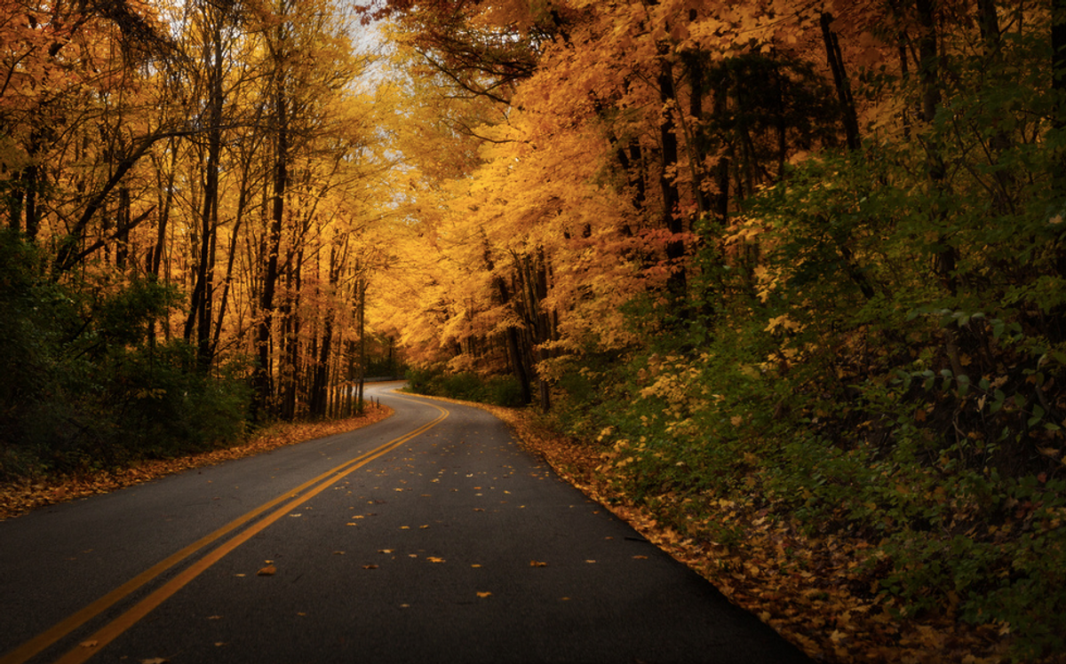 Long Drives With Dad