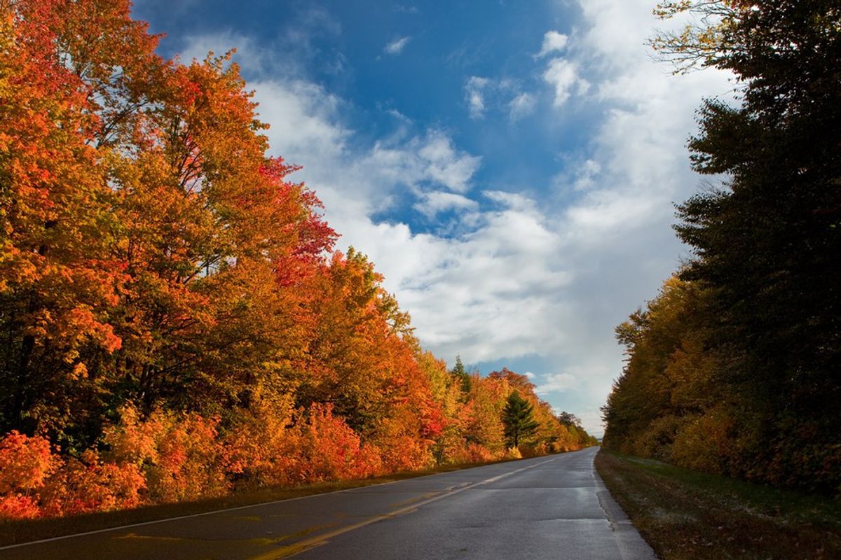 The Basic White Girl's Guide to Fall