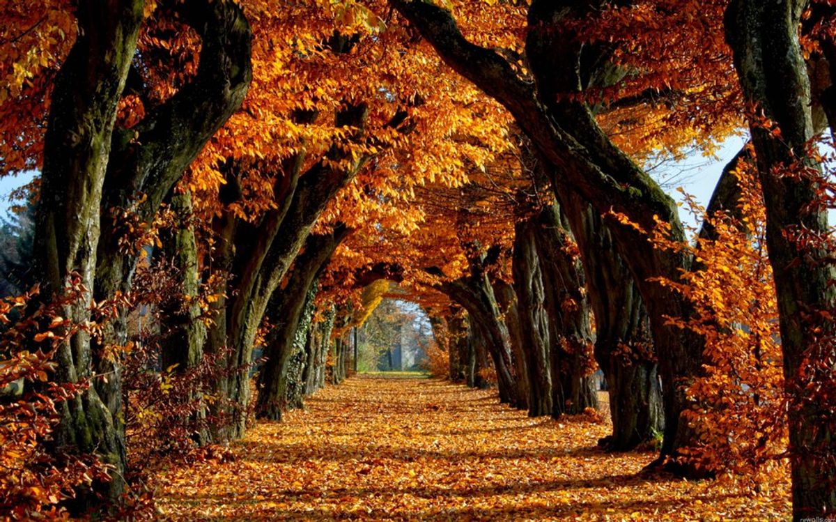 12 Things About Fall That Everyone Can Agree On