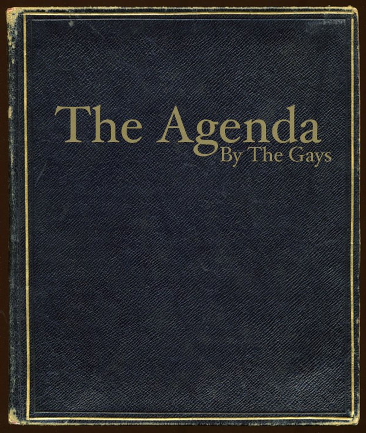 The Gay Agenda