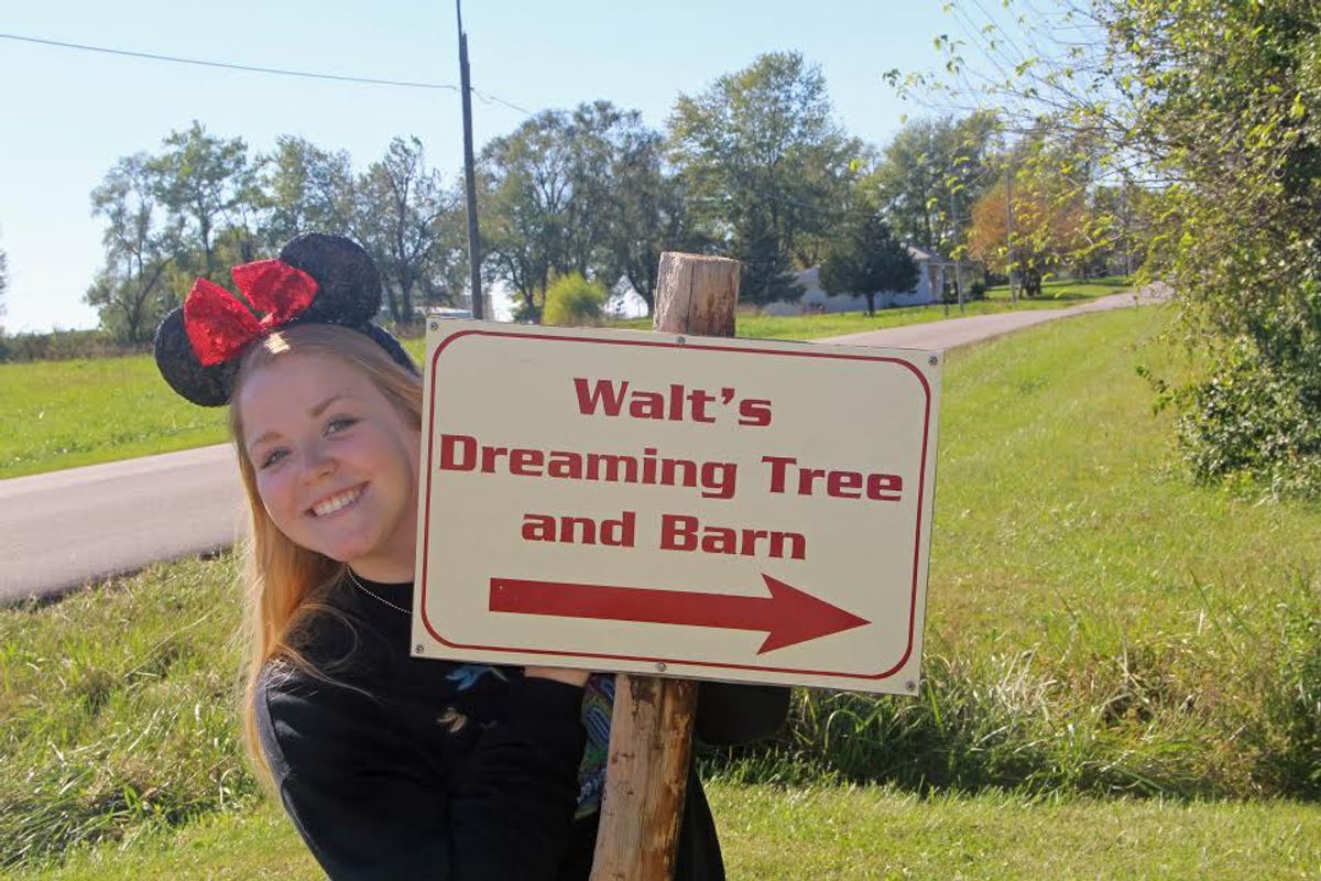 Walt's Dreaming Tree: Where The Magical World Of Disney Began