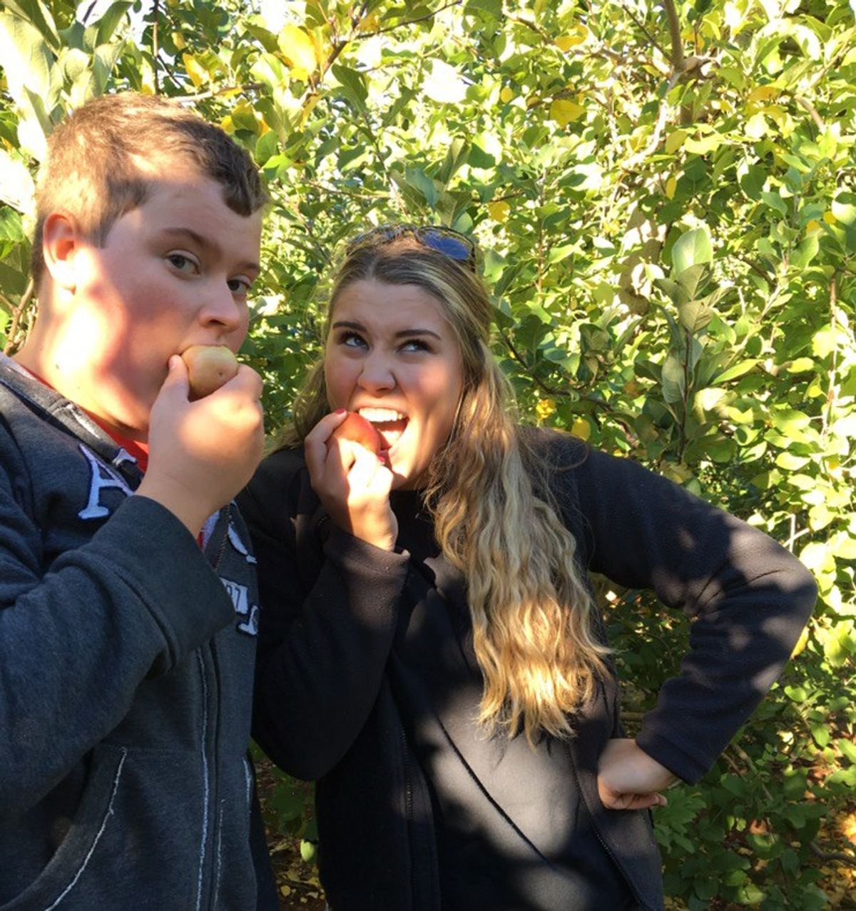 Apple Picking As Told By Someone Who Doesn't Like Apples