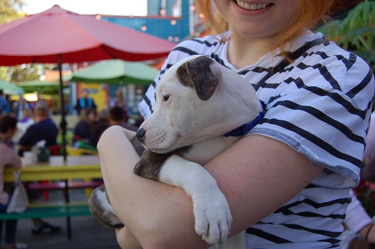 Why Dat Dog's "Barktoberfest" Is One Of The Best Events In NOLA This Fall