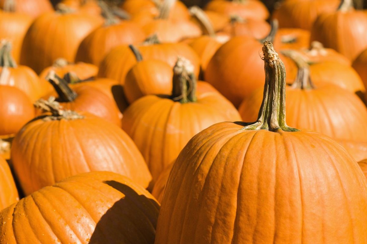 11 Signs It's Halloween Season