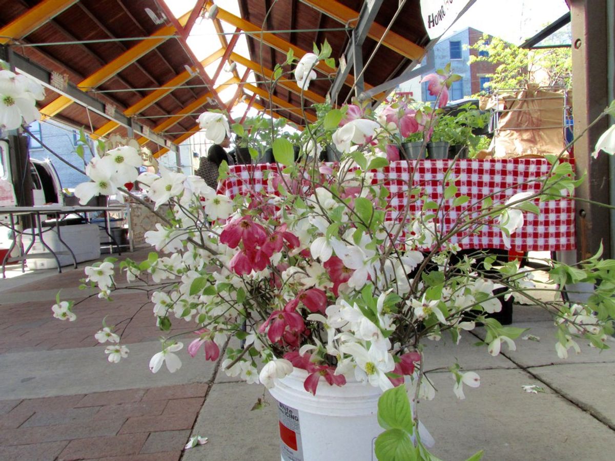 It's Time To Buy Yourself Flowers