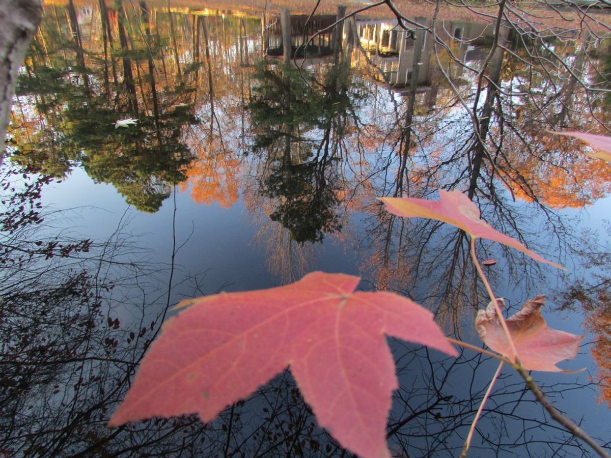 Autumn In South Jersey