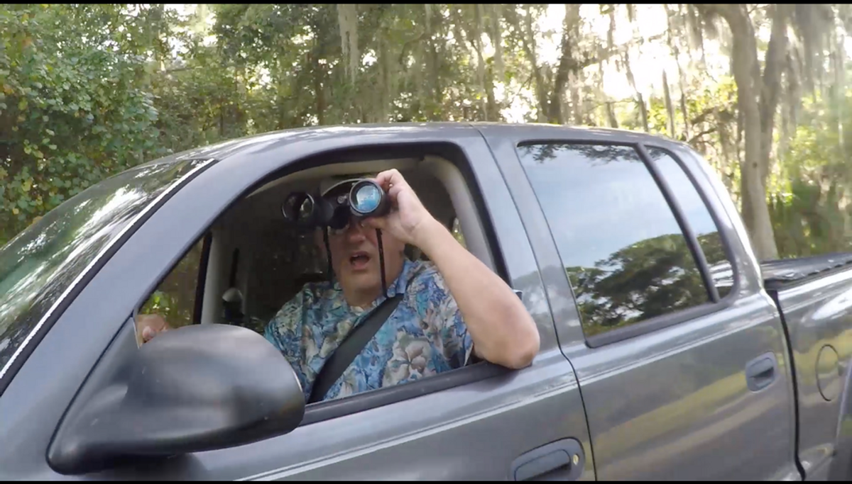 Snowbirds In Florida