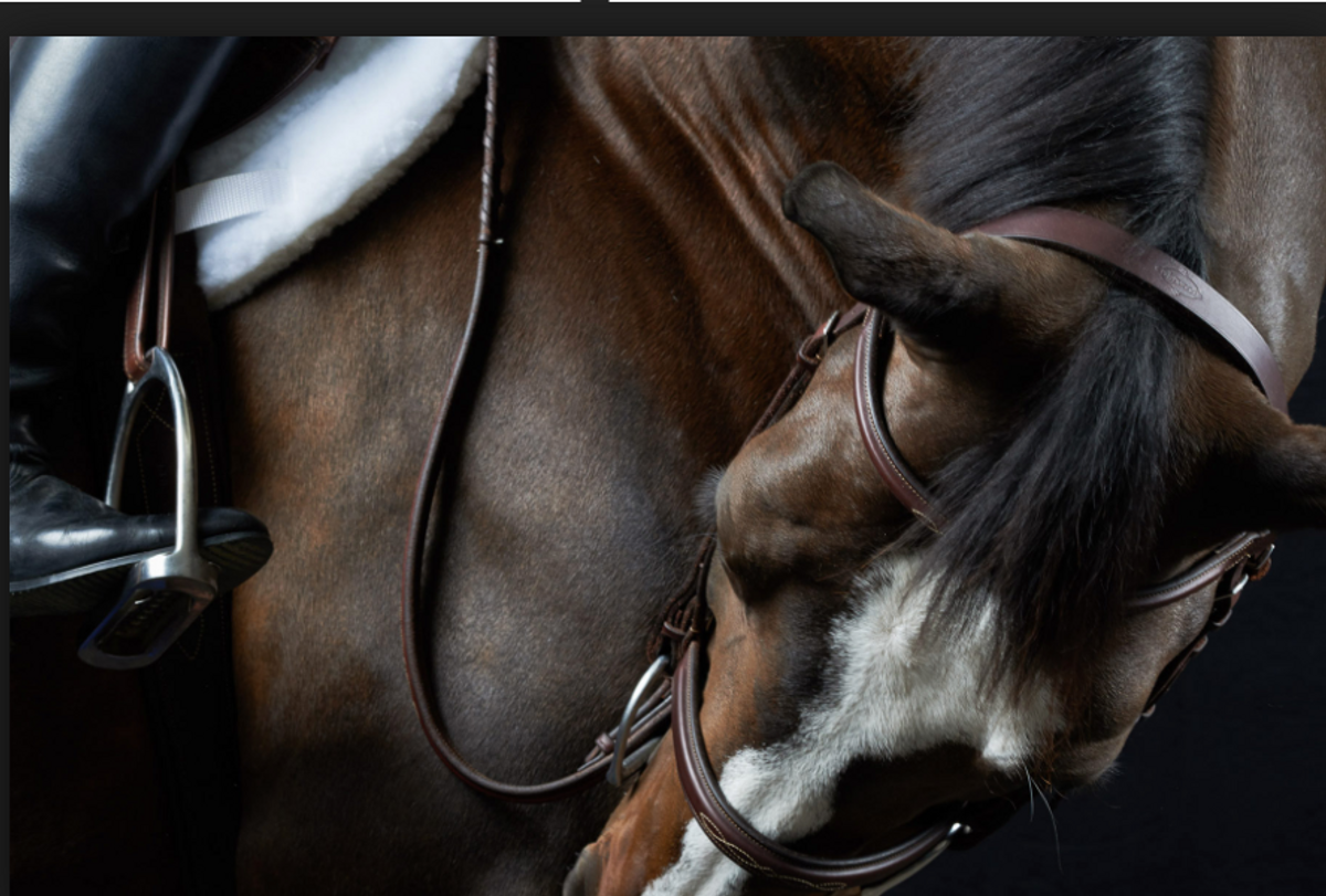 Equestrian Envy: Put An End To It