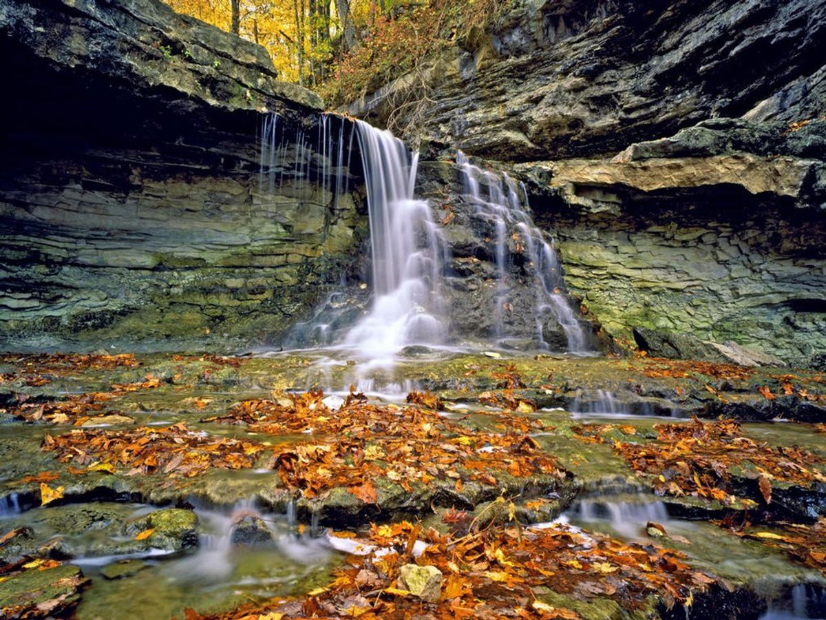 Happy Birthday, McCormick's Creek State Park