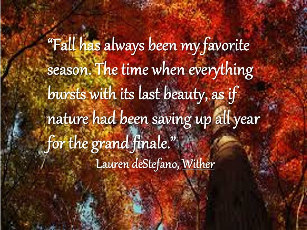 Fall into Fall with These Top 8 Reasons