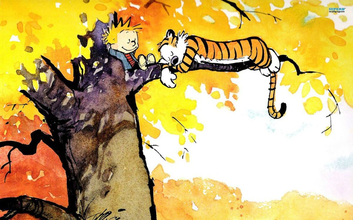 I'm An Adult Who Loves Calvin And Hobbes