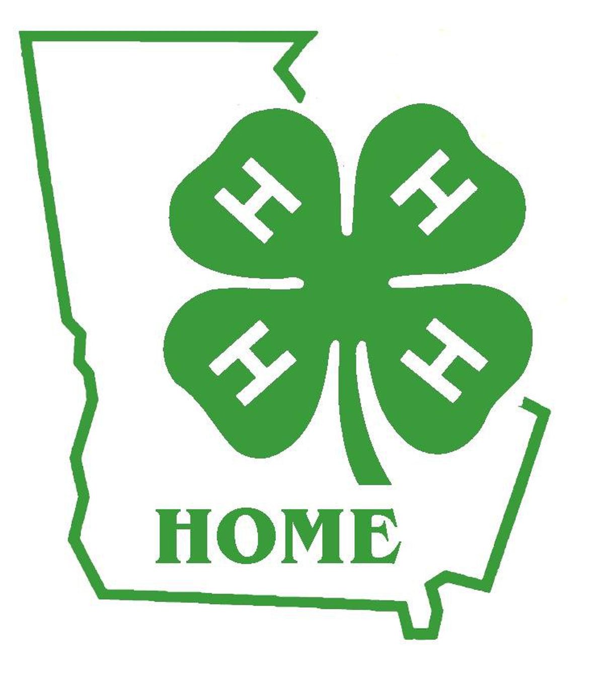 An Open Letter To Georgia 4-H