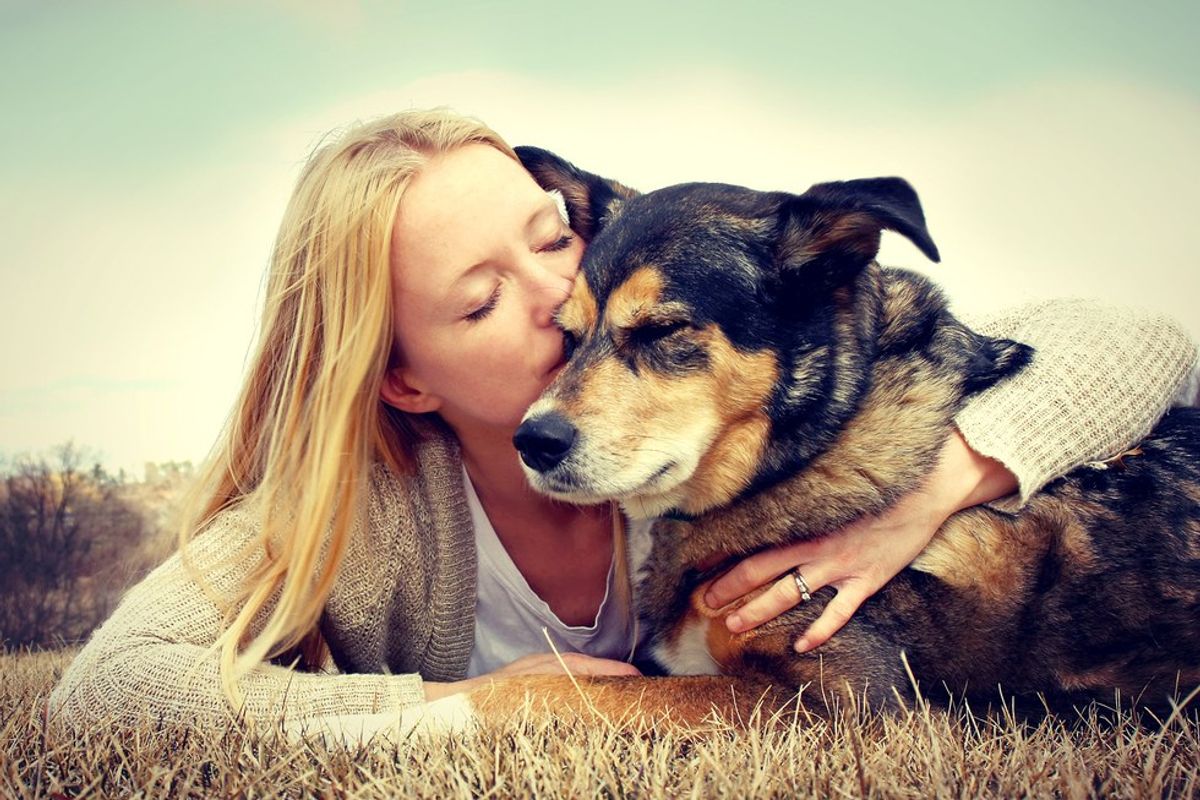 6 Reasons To Unconditionally Love Dogs