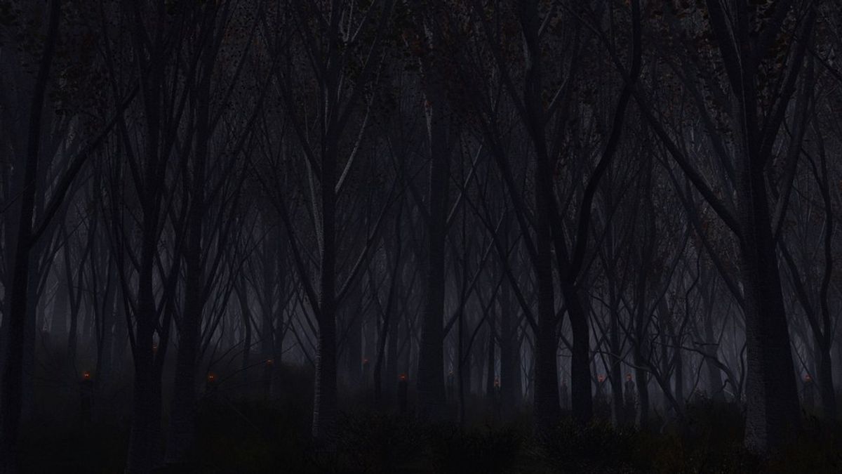 The Dark Forest