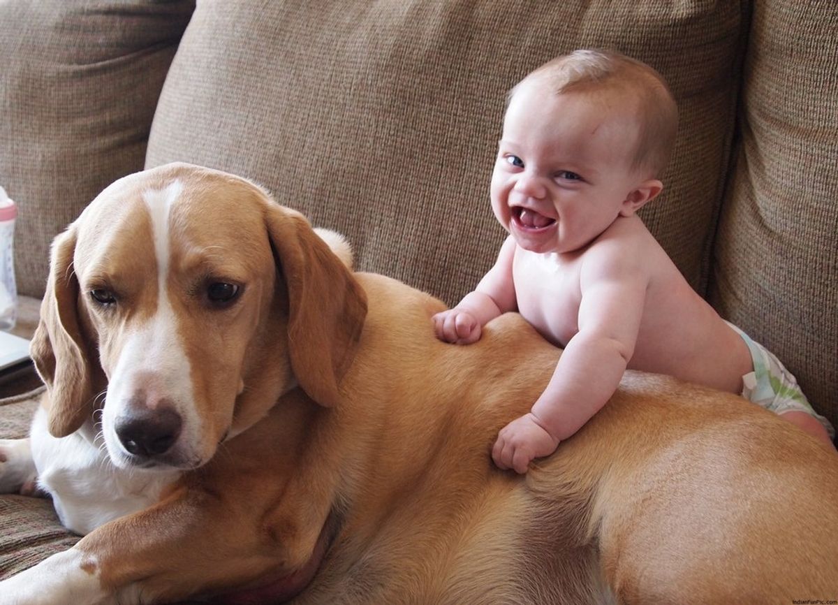 13 Things Guaranteed To Make You Smile Today