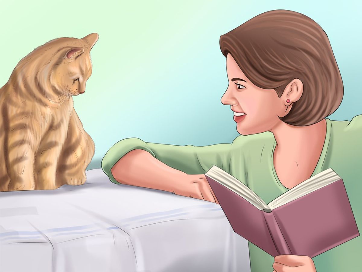 What No One Tells You About Getting A Cat