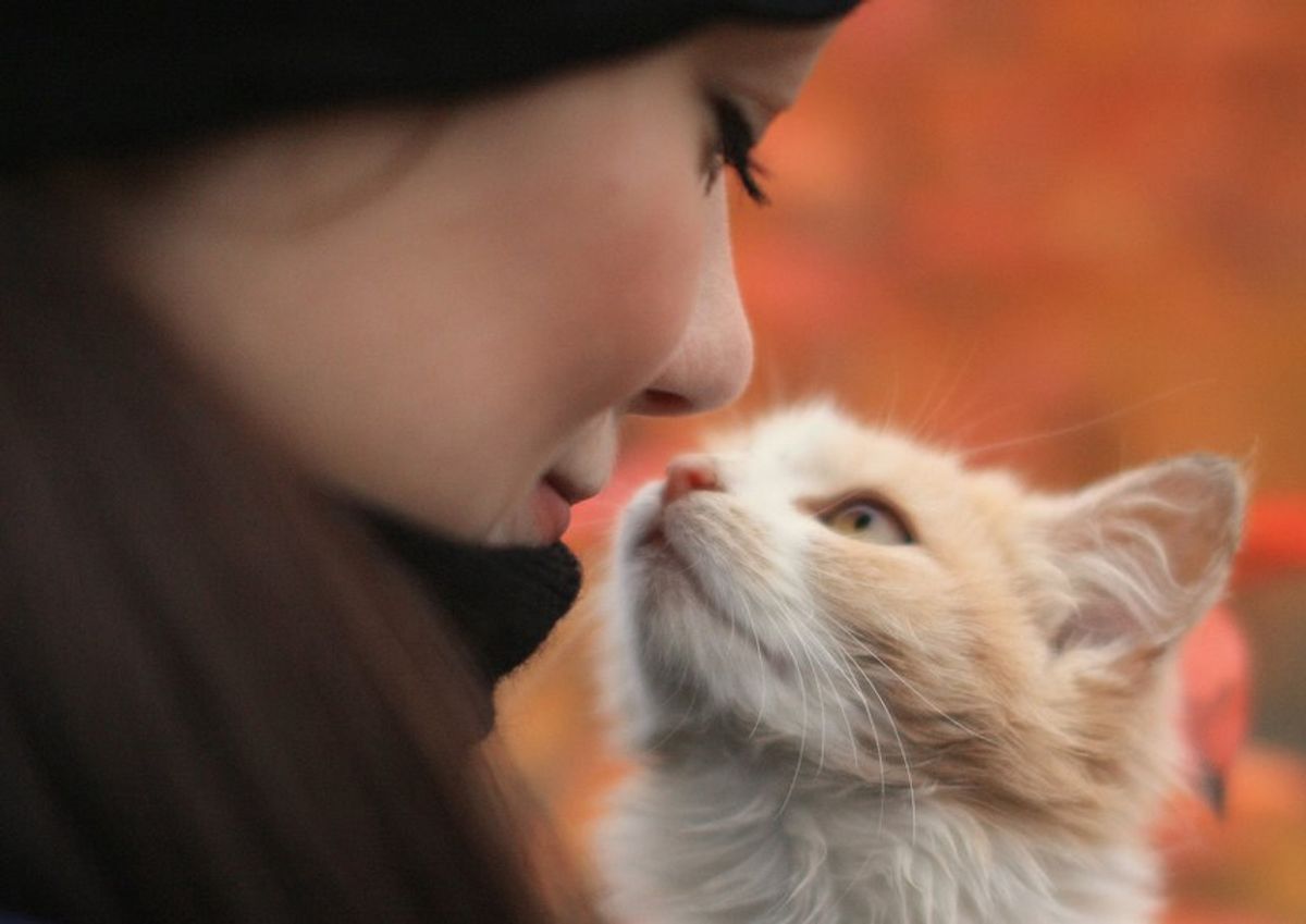 11 Thoughts You've Had If You're a Cat Owner