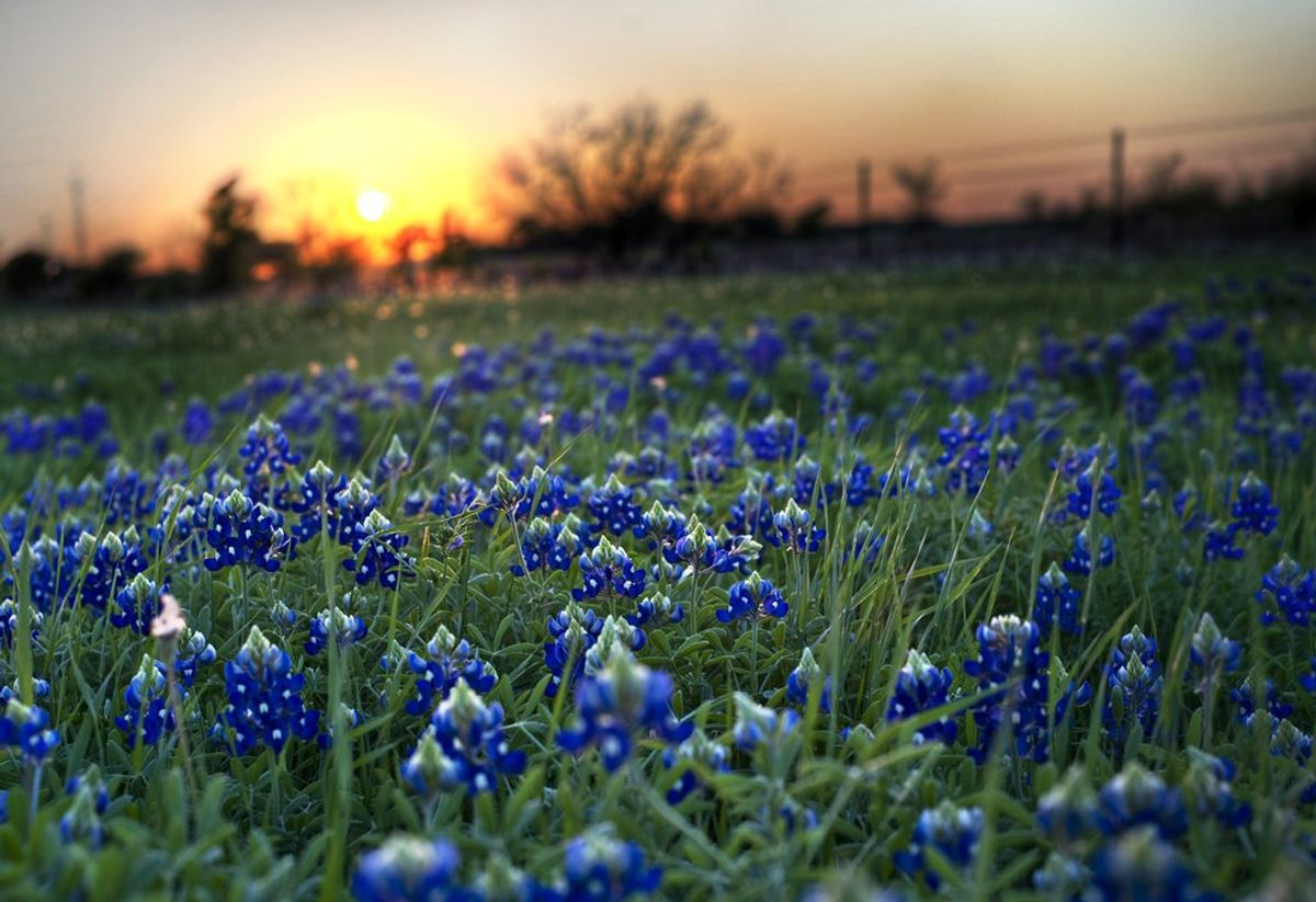 18 Things Out of State Texans Miss