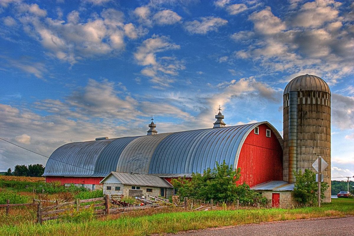 Those Weird Wisconsin Stereotypes? They're All Completely True